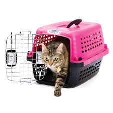The arf pets cooling pad has been around for a good long time and they've made a high quality product for years. Keeping Cats Indoors Petsmart