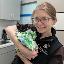 Orphan Kitten Club added a new photo...