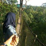 Bagaimana tanggapanmu tentang sedalam mungkin dan disimpan dalam. Jelaskan Keunikan Musik Yang Kamu Amati Di Daerah Kalimantan Tengah Brainly Co Id