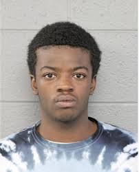 ᐅ Illinois Criminal Records 2009-2025