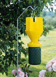 Japanese Beetle Trap Catch Can With Bait Japanese Beetles Trap Japanese Beetles Beetle Trap