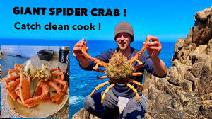Giant Spider Crab Catch Clean Cook Steamed Spidercrab In Garlic Spices Youtube