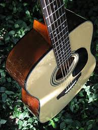 Zager Guitars Reviews - 805 Reviews Of Zagerguitar.Com | Sitejabber