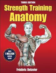 The human body consists of many muscles. Strength Training Anatomy By Frederic Delavier