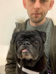 Had to say goodbye to the only constant in my life for 16 years I've barely  been able to function let alone get out of bed. My best friend since I was