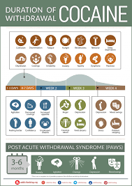 The Duration Of Cocaine Withdrawal Timeline