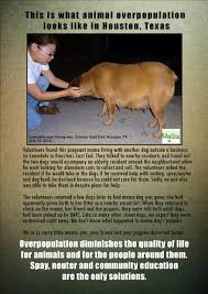 This Is What Animal Overpopulation Looks Like In Houston Texas Overpopulation Diminished The Quality Of Life For Animals And For Animals Houston The Fosters