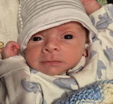 Dr. Petsch Andrologie