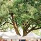 Lafayette Farmers and Artisans Market