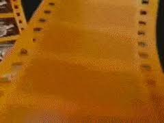 But this week mgm revealed the first update to its. Best Mgm Logo Gifs Gfycat