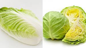 Old, rotten cabbage smells like decay or. The Important Difference Between Napa Cabbage And Regular Cabbage
