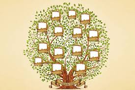 We would like to show you a description here but the site won't allow us. 8 Easy Family Tree Drawing Ideas For Kids With Steps