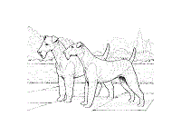 Cats have been each others companions for centuries of documented history. Dog Breed Coloring Pages 1