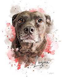 Anthropics.com has been visited by 10k+ users in the past month Simple Style Custom Pet Portrait Pet Portraits Watercolor Pet Portraits Custom Dog Portraits