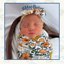 Haywood Regional Medical