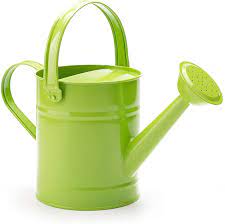 Rustic metal bull pig watering can boar hog cow country farmhouse cute can pot. Amazon Com Sungmor 1 5l Or 51oz Green Metal Watering Can Kids Children Garden Outdoor Watering Bucket Small Portable Indoor Watering Equipment With Anti Rust Powder Coating Treatment And Beautiful Color