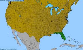 Image result for Nelsonia