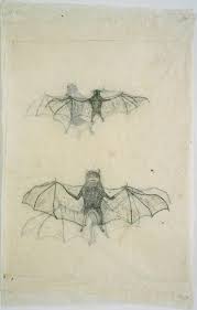 Vjeranski Kiki Smith Drawings Drawing Prints Drawings