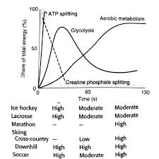 Anaerobic Training Relationship Between Energy Delivery