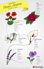 Maybe you would like to learn more about one of these? Wine Flowers The Intoxicating Similarities Travelling Corkscrew