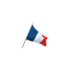 Résultat de recherche d'images pour "drapeau france"