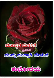 We did not find results for: Funny Video Kannada Share Chat Off 56