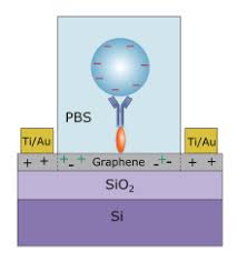 Kusube and masahiko ohmae and k. Biosensor Wikipedia