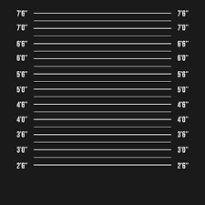 One of the most comprehensive & accurate public records sites online. Mugshot Police Vector Police Mugshot Lineup Isolated Prison Background Vector Illustration Photo Clipart Mugshot Background Png And Vector With Transparent B Mugshot Background Mug Shots Mugshot Background Aesthetic