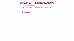 Noninfective Endocarditis Cardiovascular Disorders Msd
