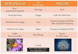 Medical diagnosis system ini adalah teknologi terbaru yang memungkinkan system akan. Agen Pendebungaan