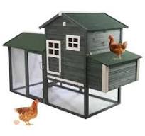 Photos de cages à volailles - Solutions efficaces et durables