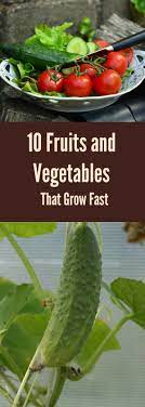 Maybe you would like to learn more about one of these? 10 Fruits And Vegetables That Grow Fast