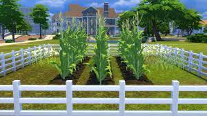 Videos On Raised Row Gardening In 2021 Row Gardening Garden Soil Sims 4