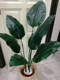 2, jln bunga tanjung, 28400 mentakab, pahang. Kalau Nak Jimat Buat Sendiri Pokok Hiasan Viral Yang Super Cantik Cukup Mudah Guna Barang Kedai Rm2 Jer Keluarga