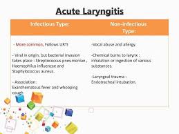 Image result for Acute Laryngitis