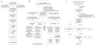 Medical Microbiology Chart Bacteria Chart Microbiology Flow