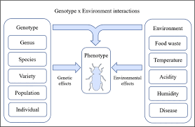 That number is 10 million images. Artificial Selection Of Insects To Bioconvert Pre Consumer Organic Wastes A Review Springerlink