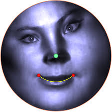 Surface matching for a deforming facial expression sequence from the...