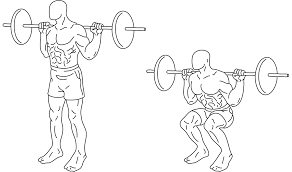 Squat Exercise Wikipedia