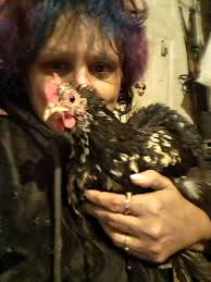 Can canary stay in screened porch in florida?