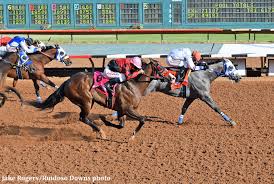 We're located at 127 magnolia drive in the city of wiggins, mississippi. Whistle Stop Cafe 2020 World Champion Racing American Quarter Horse Only Second Juvenile Filly To Earn The Title Horse Racing News Paulick Report