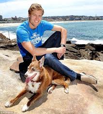 Bondi Vet Star Dr Chris Brown Surveys The Storm Damage In Sydney Dr Chris Brown Animal Tv Chris Brown