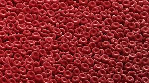 Check spelling or type a new query. Biotech Startup Rubius Raises 120m To Develop Red Blood Cell Technology The Boston Globe