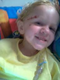 PM 24/11/2025 So after busy morning with OT and salt the rest of the day  was me and Bray…we did some laminates…we did our walking…and Brays been  told he don't need the