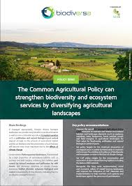 Pest control is an important moral obligation every homeowner has towards the society. Biodiversa The Cap Can Strengthen Biodiversity And Ecosystem Services By Diversifying Agricultural Landscapes