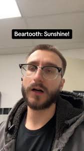 Beartoothband Sunshine