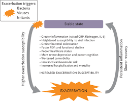 Image result for COPD Exacerbation Prevention