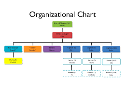 Organization Structure Restaurant Custom Paper Example