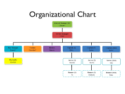 organization structure restaurant custom paper example