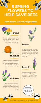 Honey bees help your garden to become more fruitful and beautiful then ever before. 5 Spring Flowers To Help Save Bees Spring Flowers Bees Plants Bee